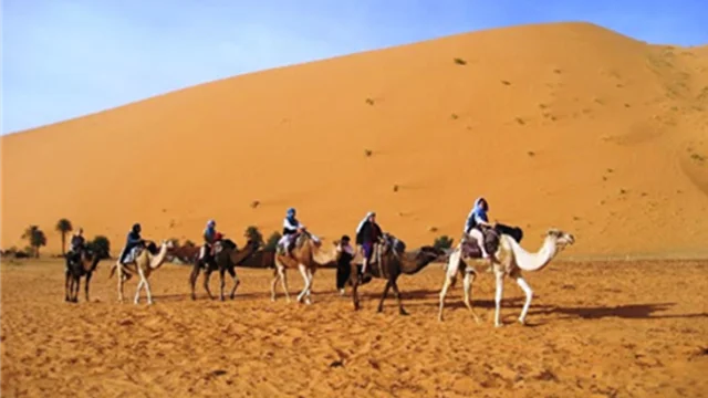 Desertridingcamel_2021