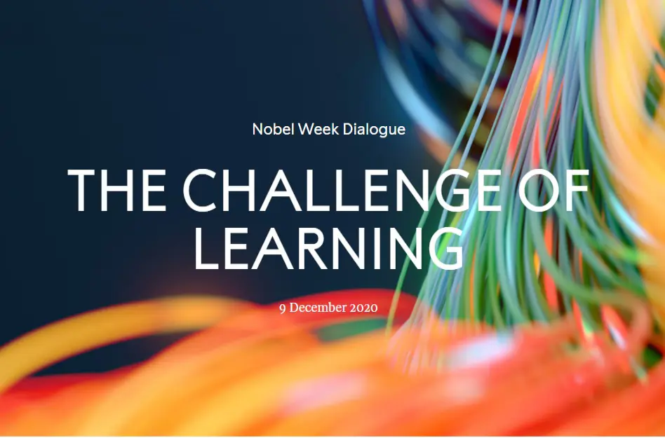 Resize 16046804781507068483Nd4