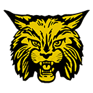 Carrier Mills Stonefort High School