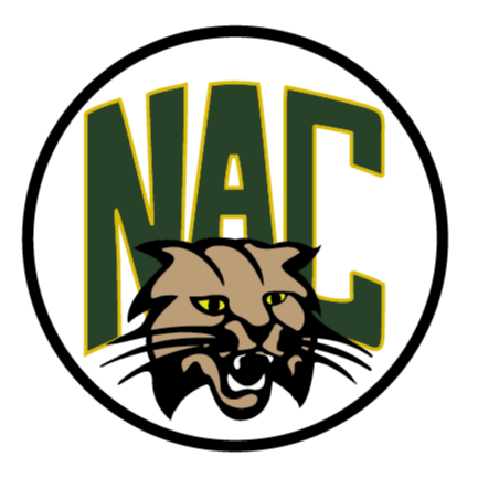 Northern Adirondack Central School