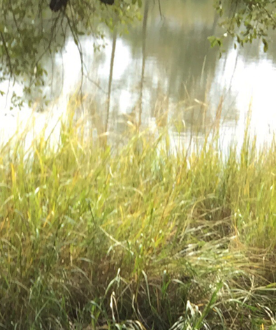 Screen Shot 2019 04 22 At 20818 Pm