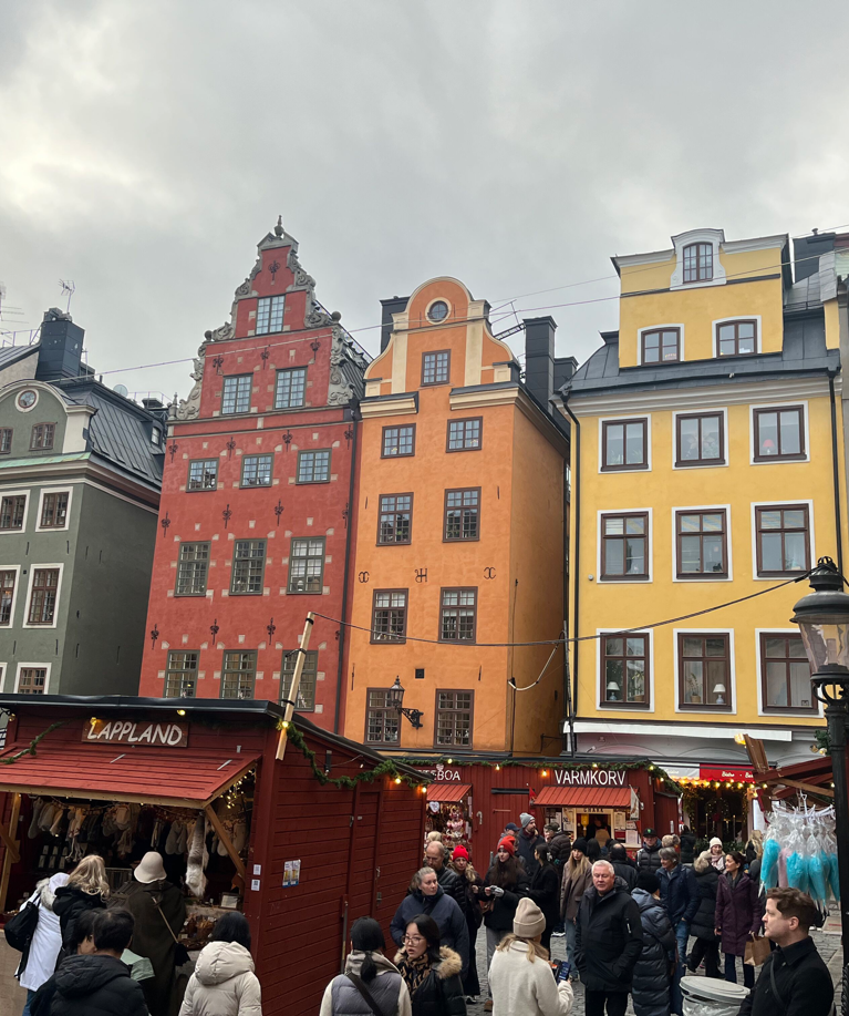 IMG 4507